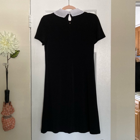 Black Knee-length Elle Dress with Peter Pan Collar - Picture 3 of 7